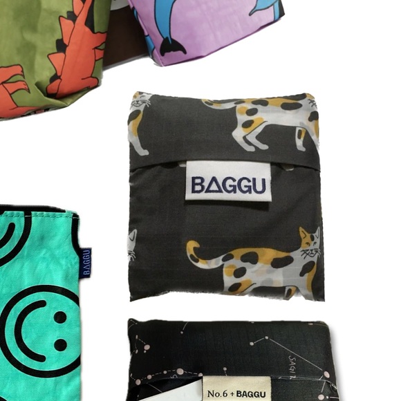 IN SEARCH OF: BAGGU - Picture 3 of 3